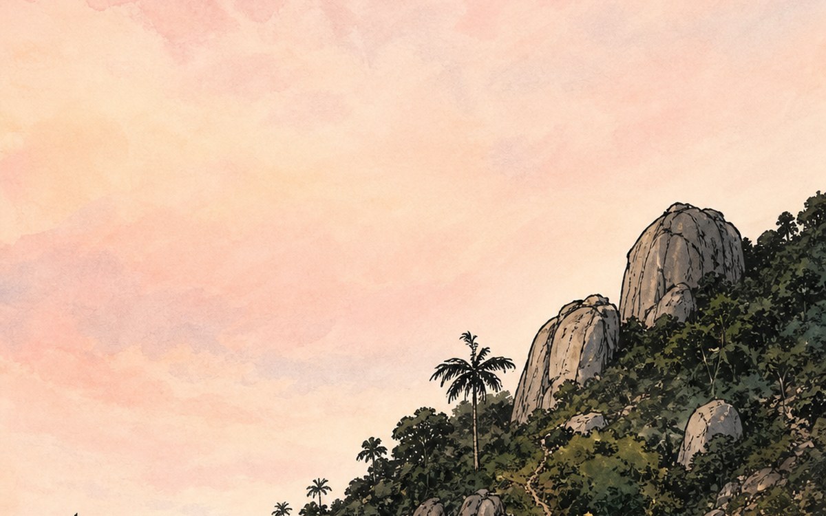 Dia da Consciência Negra